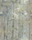 TAPETA AURORA
