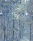 TAPETA AURORA