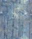 TAPETA AURORA