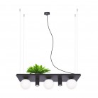 LAMPA WISZĄCA PLANT SHELF CZARNA