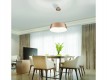 Lampa wisząca Emma 60 Led w kolorze złotym CCT + Remote Control