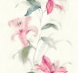 TAPETA JASMINE